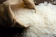 روش‌های طلایی برای سالم ماندن برنج؛ چطور تا یک سال برنج را تازه نگه داریم؟