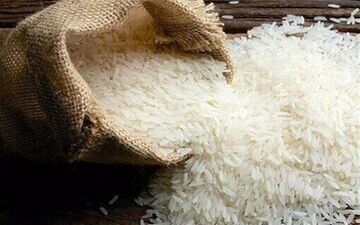 روش‌های طلایی برای سالم ماندن برنج؛ چطور تا یک سال برنج را تازه نگه داریم؟