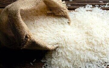 روش‌های طلایی برای سالم ماندن برنج؛ چطور تا یک سال برنج را تازه نگه داریم؟