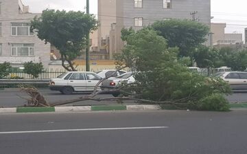 وقوع باد شدید و خیزش گردوخاک در روزهای آینده در بیشتر شهرها