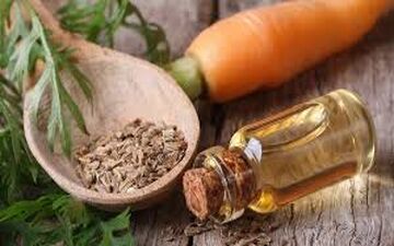 ۴ فایده شگفت‌انگیز روغن هویج برای مو