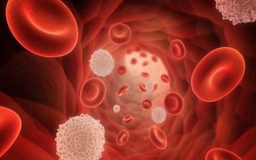 اگر گلبول سفید خون تان کم است نگران باشید