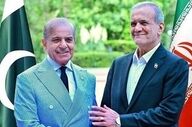دیدار وزیر کشور پاکستان با مسعود پزشکیان