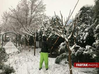 برف در تهران