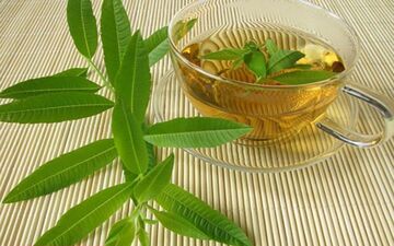 همه چیز درباره یک گیاه فوق العاده!