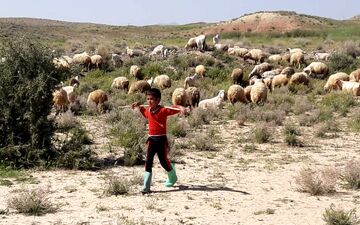 
 کودک چوپان در یکی از روستاهای گناباد مفقود شد
