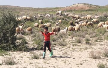 
 کودک چوپان در یکی از روستاهای گناباد مفقود شد
