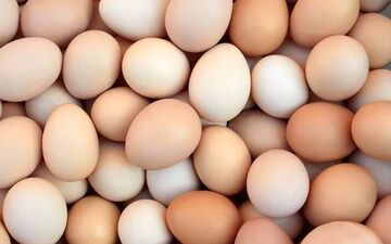 تخم‌مرغ، دشمن کبد چرب یا دوست آن