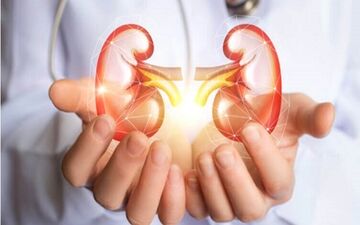 سنگ کلیه؛ کابوسی خاموش، قابل پیشگیری!
