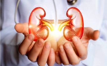 سنگ کلیه؛ کابوسی خاموش، قابل پیشگیری!
