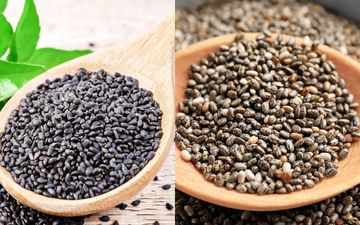 تفاوت دانه چیا و تخم شربتی؛ کدوم واسه شما مفیدتره؟