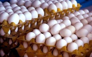  دلایل افزایش قیمت تخم مرغ چیست؟