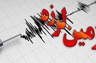 زمین‌لرزه ۳.۳ ریشتری سالند را لرزاند