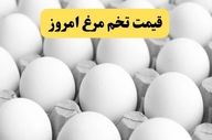 قیمت رسمی تخم‌مرغ امروز ۲۲ آذر ۱۴۰۴ اعلام شد؛ بازار چه نرخی دارد؟