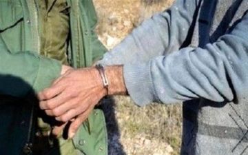 نجات بز وحشی از تله مرگ در میبد