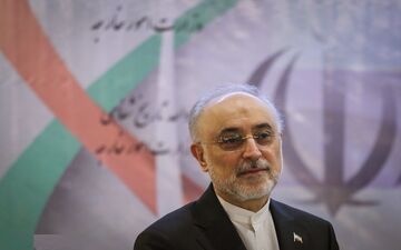 در پیامی؛ صالحی درگذشت داماد آیت الله ابراهیم امینی را تسلیت گفت
