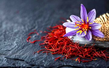زعفران کیلویی ۲۰۰ میلیون شد؛ گرانی در راه است؟