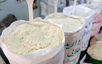 افزایش بی‌سابقه قیمت برنج؛ تنها سازمان برنامه می‌تواند گره را باز کند