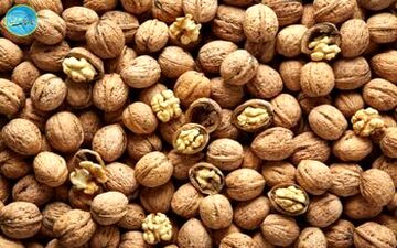 گردوی خوب را چگونه تشخیص دهیم؟

