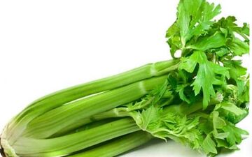 خواص برگ و آب کرفس برای سلامت 