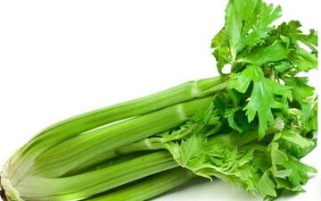 خواص برگ و آب کرفس برای سلامت 