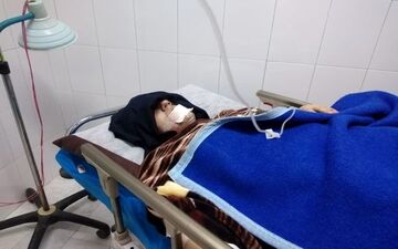 حمله وحشتناک گرگ به ۲ زن در خلخال/ یکی از گرگ‌ها مشکوک به هاری بود!