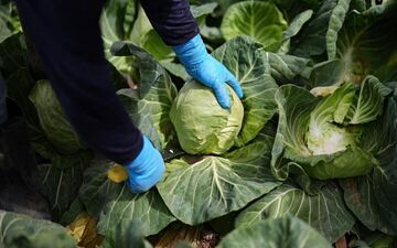 رژیم غذایی شما، تعیین‌کننده سرنوشت زمین! چگونه با یک تغییر ساده جان ۱۵ میلیون نفر را نجات دهیم؟