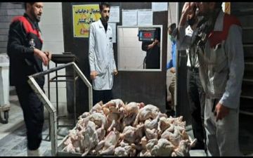  خارج شدن 360 کیلوگرم مرغ فاسد از چرخه مصرف در استان کرمانشاه