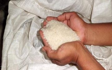 5 تن برنج قاچاق در کنگاور کشف شد  