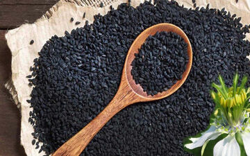 آیا روغن سیاه دانه می­تواند به کاهش وزن کمک کند؟