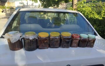 کشف بیش از ۱۰کیلو گرم مواد مخدر تریاک در کرمانشاه

