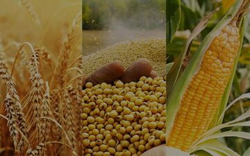 هجوم کشورها به احتکار مواد غذایی!