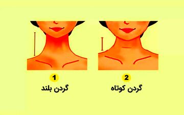 تست شخصیت شناسی | اگر میخوای شریک عاطفیت رو بهتر بشناسی به طول گردنش دقت کن!