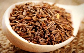 یک گیاه با قابلیت شگفت انگیز و مقابله با 45 نوع بیماری متفاوت!