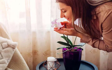 با این روش ها بدون استفاده از عطر بدنی خوشبو داشته باشید