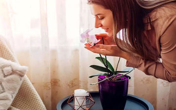 با این روش ها بدون استفاده از عطر بدنی خوشبو داشته باشید
