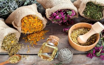 معرفی انواع داروی گیاهی برای رفع سر درد