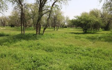 ۱۰۰ پرونده زمین خواری طی یک سال در کمیسیون اصل ۹۰ مجلس بررسی شد