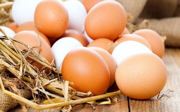 
قیمت هر شانه تخم مرغ چند ؟! 
