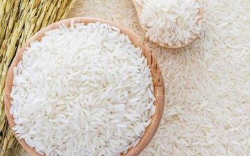 معاون وزیر جهاد کشاورزی: در حوزه ذخایر برنج خارجی هیچ‌گونه مشکلی نداریم/ قیمت برنج کاهش می یابد 