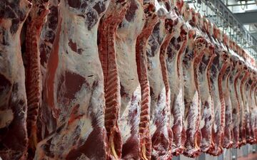 تاثیر تب کریمه کنگو بر بازار گوشت قرمز