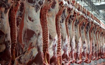 تاثیر تب کریمه کنگو بر بازار گوشت قرمز