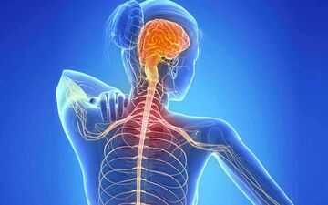 علائم هشداردهنده ام اس و رویکرد طب سنتی برای درمان: از تغییرات غذایی تا آرامش روحی

