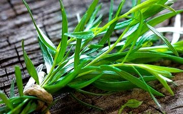 از این گیاه به جای نمک استفاده کنید