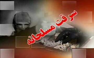 دستگیری 12 سارق مسلح در جنوب شرق کشور