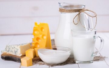 لبنیات سبب کاهش حساسیت‌ها می‌شود؟