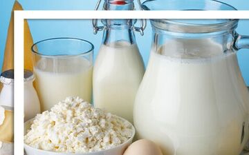 خطر تب مالت با لبنیات محلی / تاکید وزارت بهداشت بر مصرف لبنیات پاستوریزه