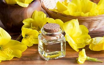 آشنایی با خواص گل مغربی