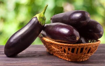 بادمجان برای بدن چه فوایدی دارد؟ بررسی مزایا، مضرات و طبع بادمجان
