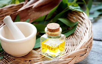 فواید روغن اکالیپتوس برای تنفس بهتر؛ راهکاری طبیعی برای کاهش مشکلات تنفسی